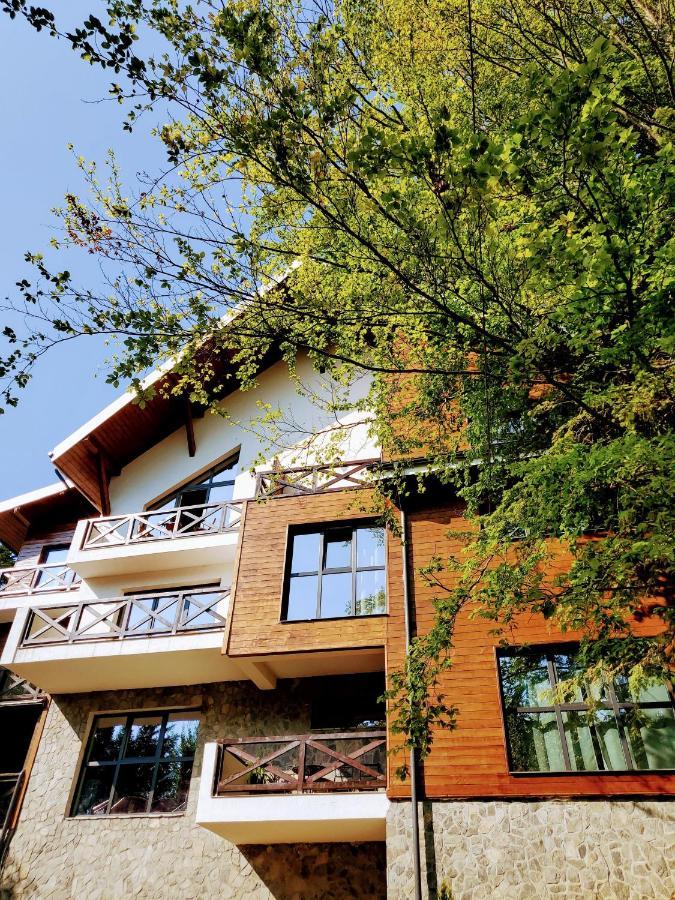 סינאיה Casa Larisa Antonia Apartments מראה חיצוני תמונה